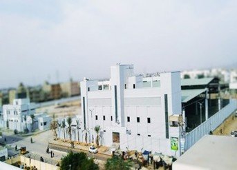Picture2